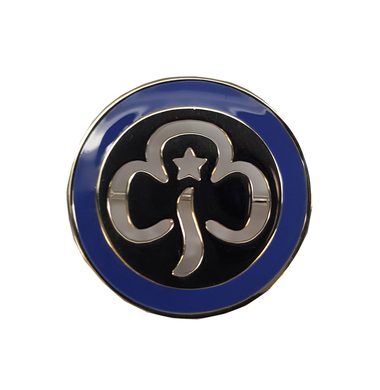 1227 Silver Good Service Brooch