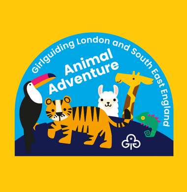 Badge Designs 18
