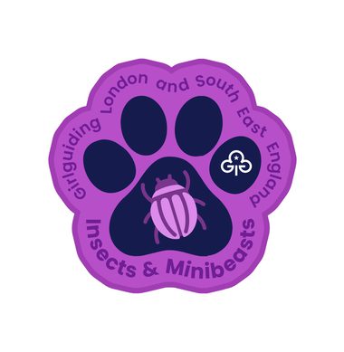 GUW Insects and Minibeasts Badge