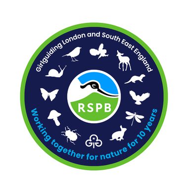 RSPB 10 anniversary badge white