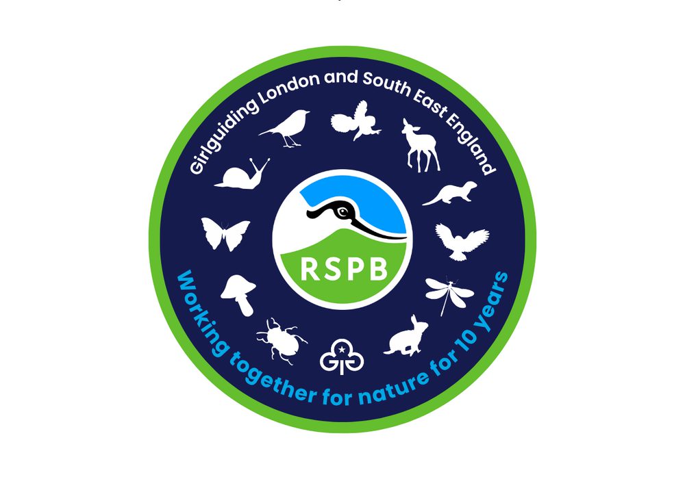 RSPB badge