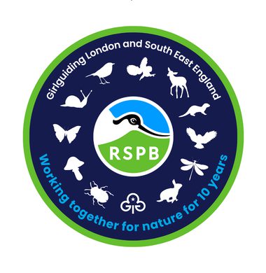 RSPB badge
