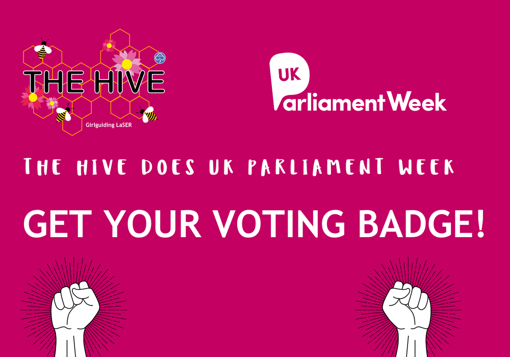 The Hives Does Uk Parliament Week4