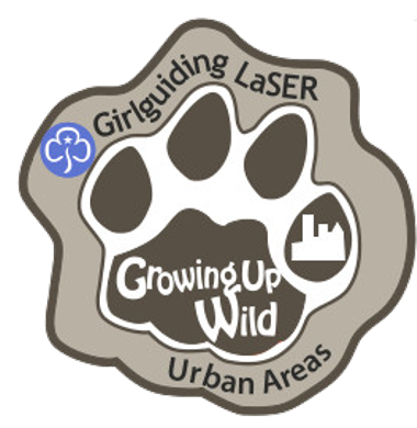 Urban Areas