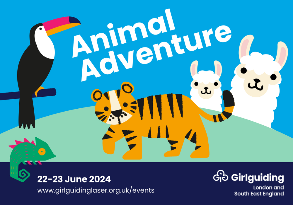 Web Image Animal Adventure