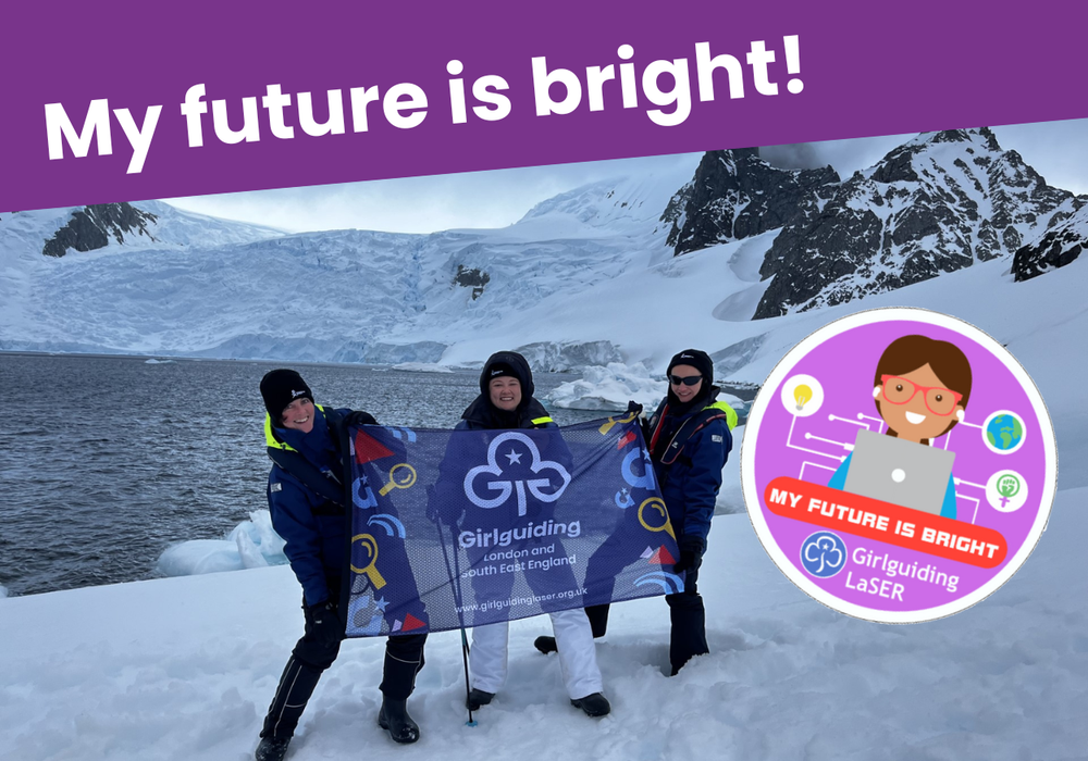 Website Gallery Size 2