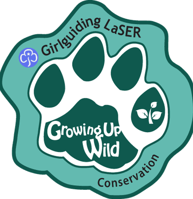 Conservation
