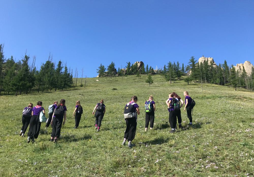 Mmm Mountaingoats